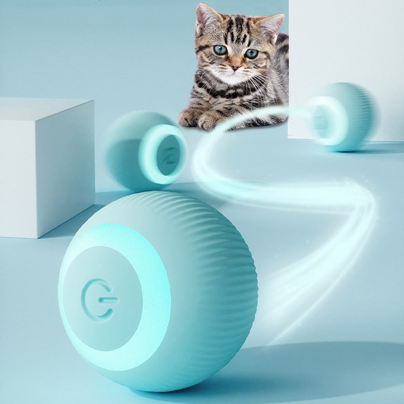 Bola Inteligente para Pet - Smart Ball™ - Mercatudo Store
