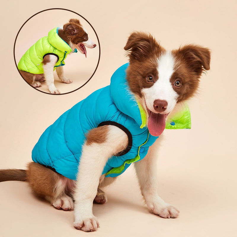 Colete Pet Alby™ Dupla-Face 3 Camadas | Roupa Para Cachorro - Mercatudo Store